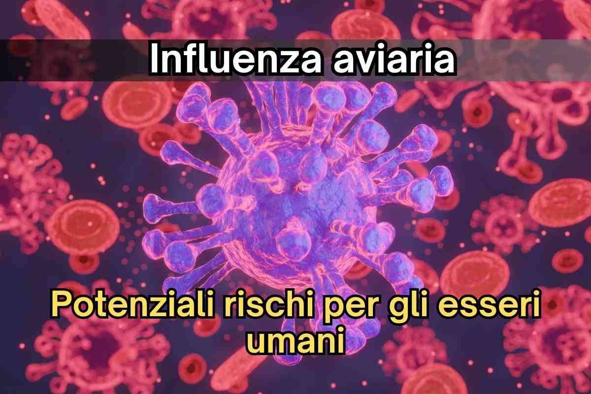 influenza aviaria